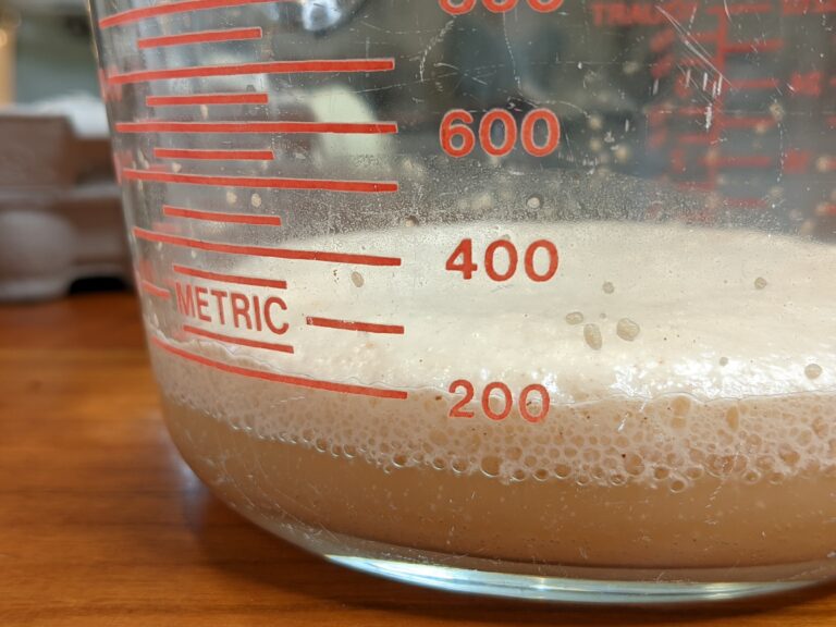 Proofing Yeast